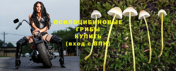 марки nbome Алзамай