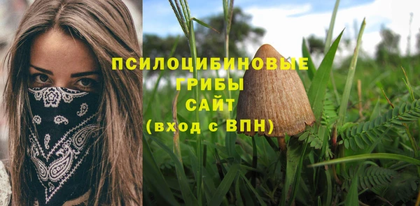 марки nbome Алзамай